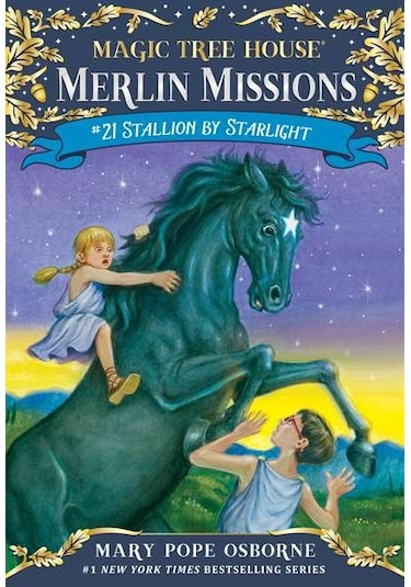 Stallion By Starlight