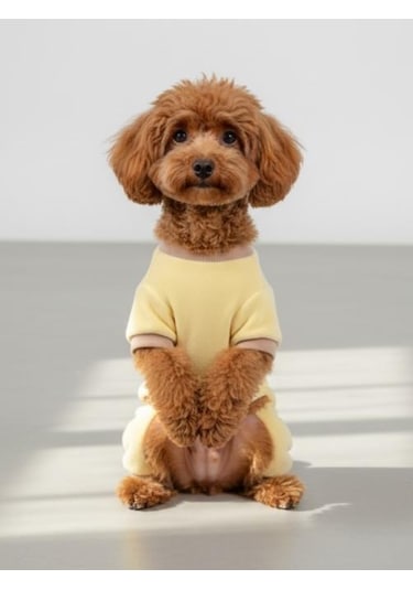 Sunny Cake Pastel Sarı İnce Kadife Köpek Tulum Pijama