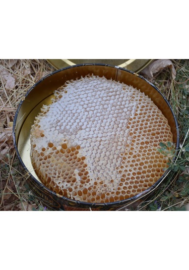 Şehri Şemdinli Doğal Karakovan Balı 1300 G