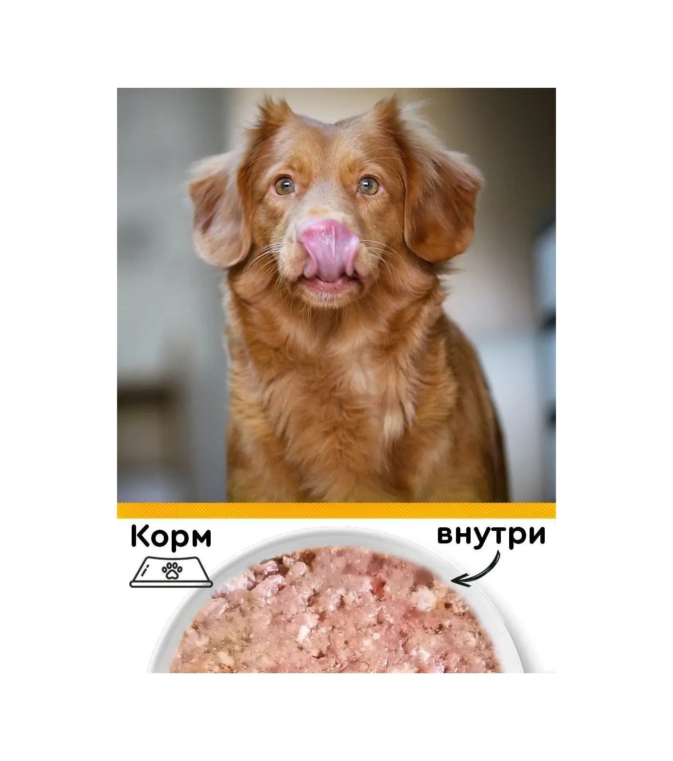 Petibon Petibon Yaş Köpek Maması 240 G 12 Adet Tavuk/ördek 102742590