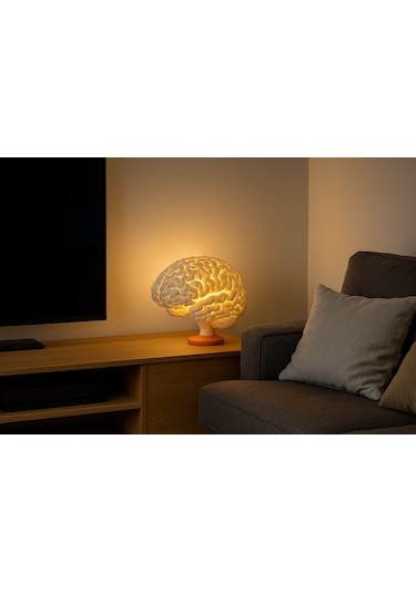 Brain Lamp Gerçek Ölçekli Beyin Şeklinde Masa Lambası
