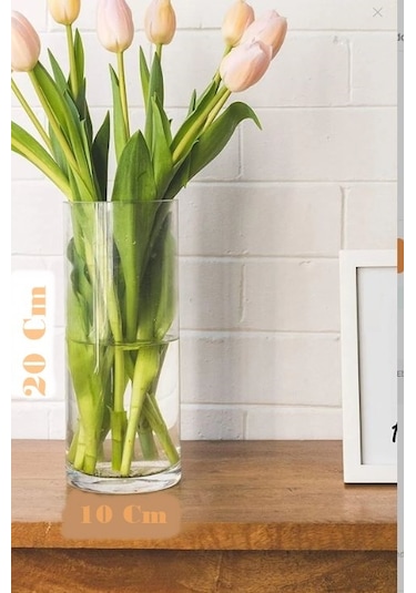 Dekoratif Silindir Cam Bambu Canlı Kuru Çiçek Vazo 10x20 Cm