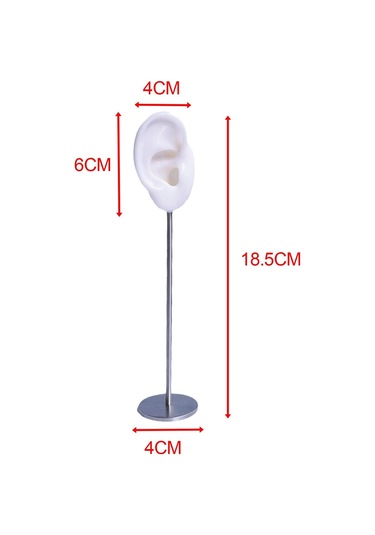 Homyl Küpe Ekran Standları Kulak Şekilli Damızlık Tutucu Beyaz