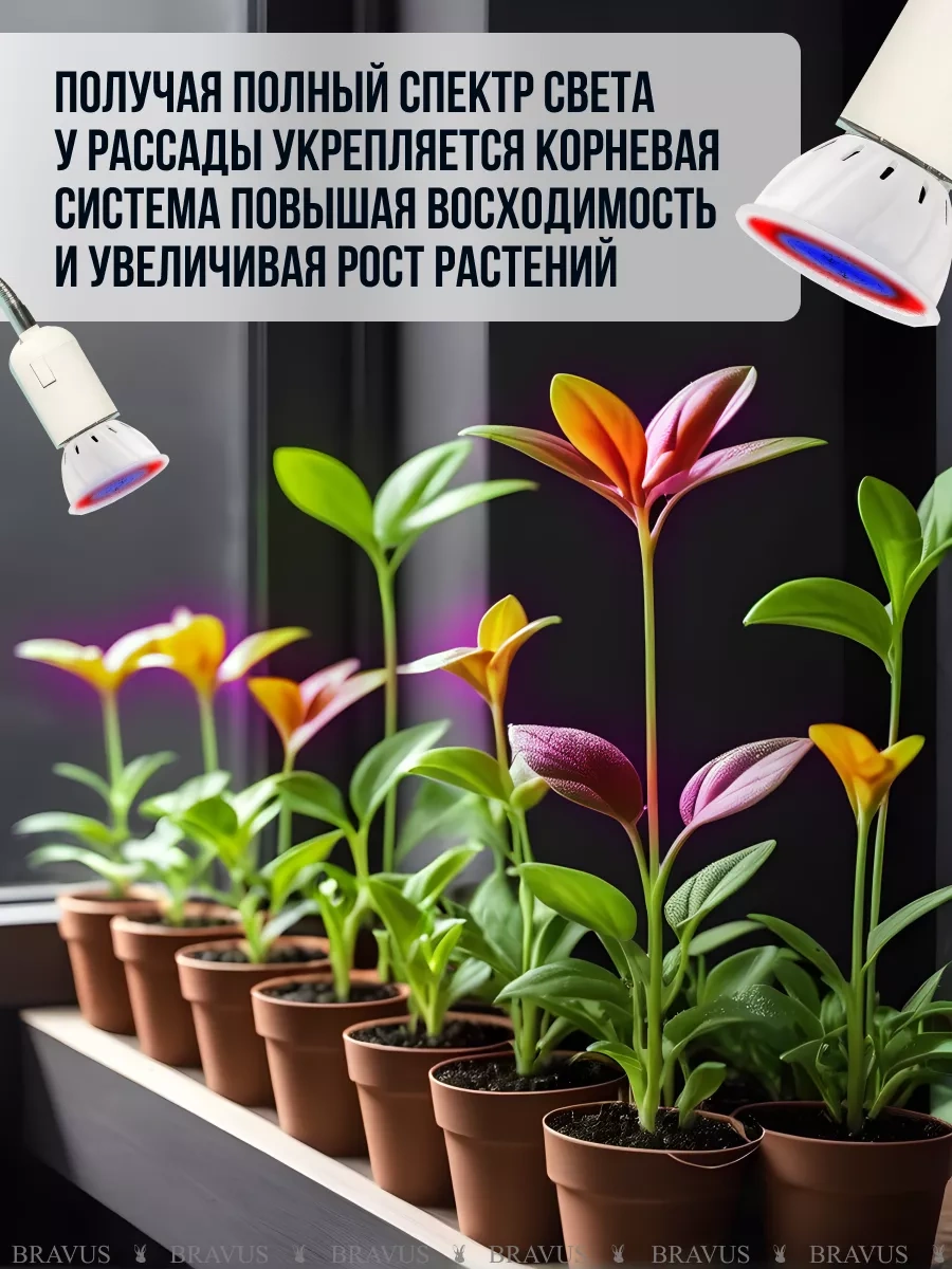 Bravus Fitolift Bitkileri İçin Fideye Uygun Uv Kelepçeli Lamba 196481213 Kırmızı