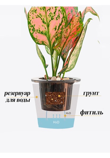 Saburg Fitil İle Otomatik Sulamalı Orkide Saksısı, 3 Adet, 0,8l 12416197