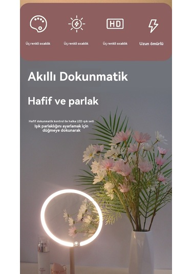 Aurora Masaüstü Lamba Akıllımak Yaj Aynası Pembe