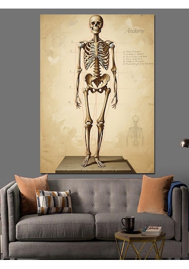 İnsan İskeleti Anatomik Çizim Dekoratif Kanvas - Mdf Ahşap Tablo