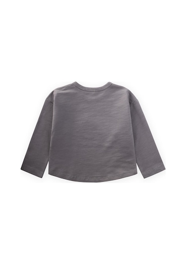 Cigit Nakışlı Erkek Çocuk Sweatshirt - Gri