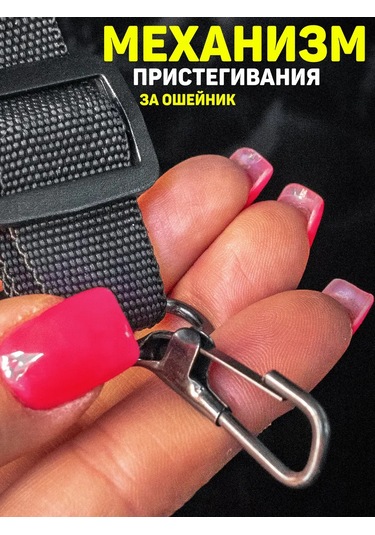 Contınental Araç Hamak Köpek Koltukları 239919213