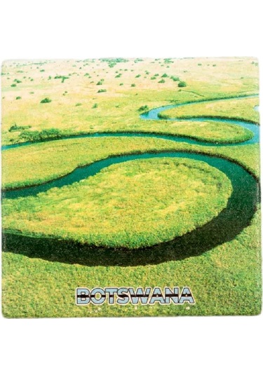 Botsvana Temalı Taş Bardak Altlığı Çok Renkli