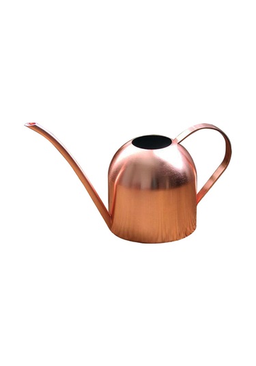 Gajeena Gül Altın Renkli Paslanmaz Çelik Sulama Kâsası, 500ml, Dikim Ve Suluama İçin Uygun, Porselen Bitkiler İçin