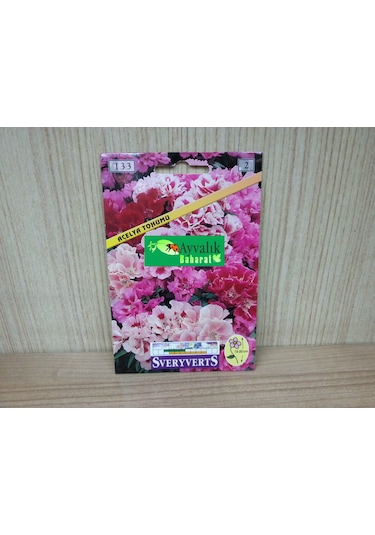 Açelya Çiçeği Tohumu Paket N111466