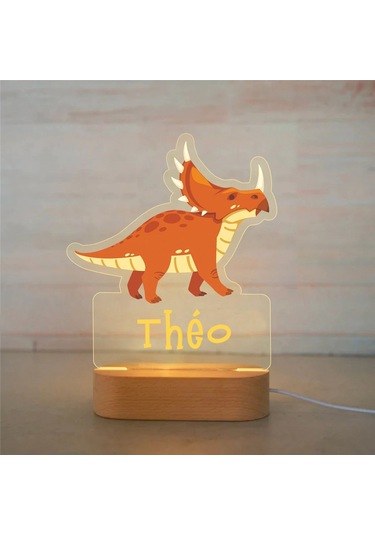 Kişiye Özel Çocuklar İçin Hayvan Gece Lambası İsimli Akrilik Lamba 17 Çok Renkli