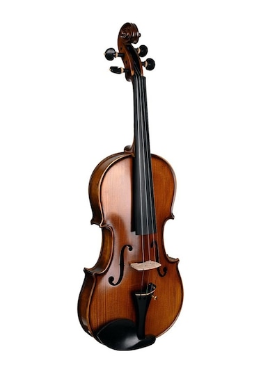 Lichtenberg Vf216 Masif Keman