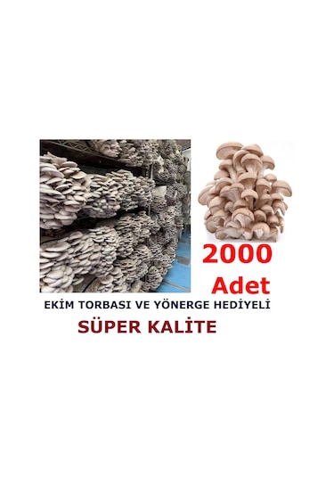 İstiridye Kavak Kayın Mantarı Tohumu Ekim Poşeti Ve Yönergeli N115651