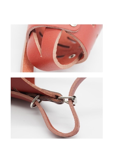 Homyl Ayarlanabilir Anti-ısırık Ağız Namlu Sepeti Pet S