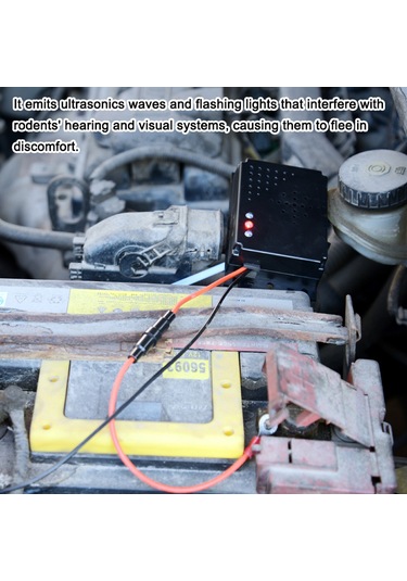 E23040 Hayvan Kovucu Siyah