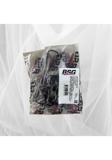 Bsg Yağ Filtre Conta Takımı Master Movano Iıı 2.3 Dci Cdtı 10 Trafıc Vivaro Iı 2.0 Dci Cdtı Kaleos 4 4 7701478541