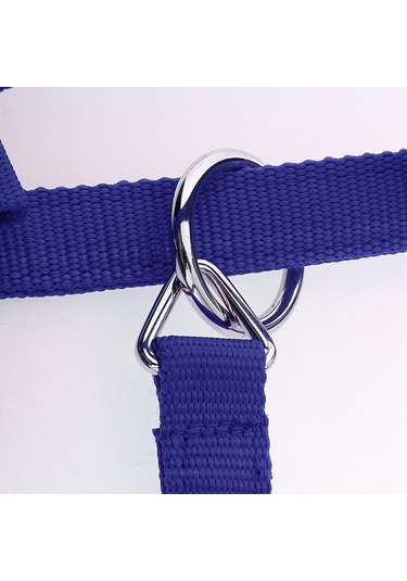 Homyl Ayarlanabilir Naylon Dokuma Binicilik Batı At Mavi-m Mavi M