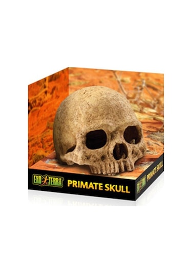 Exo Terra Kafa Tası Şekilli Sürüngen Yuvası