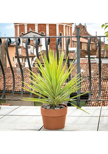 Cachepot Perfetto 13 Cm Toprak Saksı Terracota