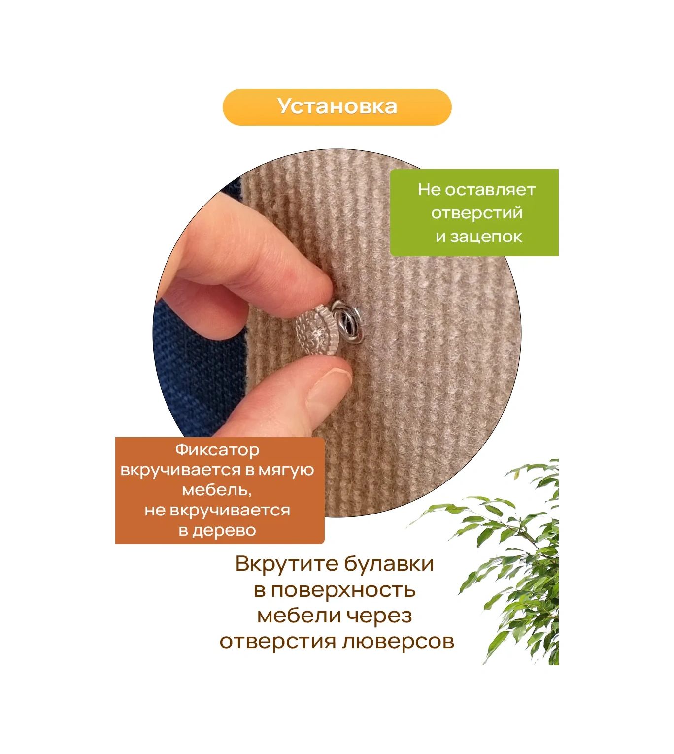 Aseliadia Kedi Kınağı - 80x50 Cm Kanepe Tipi 206357375