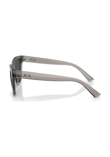 Armani Exchange Ax 4164su 839487 53 Kadın Güneş Gözlüğü Gri