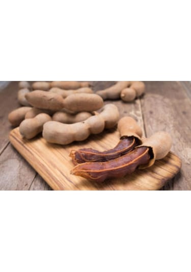 Ithal Tamarind Tohumu Ekim Seti