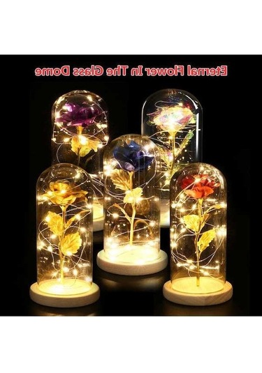 Dancemonkey Led Işıklı Cam Kapaklı Ahşap Tabanlı Gül, Sevgililer Günü Doğum Günü Düğün Hediyesi Çok Renkli Çok Renkli