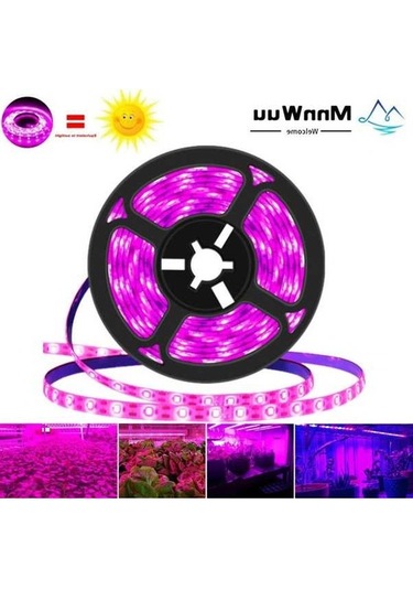 Pazly Yetiştirme Usb Tohumları Geniş Spektrumlu Şerit Sera Phyto Led Lamba İç Dc Çiçek Çadırı Bitki 5v 3m 2m 1m Qc 5m Waterproof