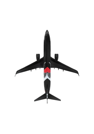 Zekupp Boeing 737-800 1/100 Ölçek Siyah Kartal Tasarımlı Maket Uçak