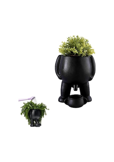 Komik İşeme Vazosu,yenilikçi İşeme Saksısı,idrar Saksısı Saksısı,drenajlı Sukulent Saksıları Saksıları,komik Saksısı