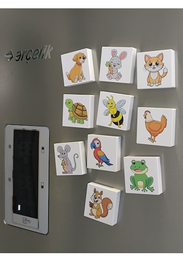 Efe'nin Hayvanat Bahçesi Seri-1 / Manyetik Eğitici Oyuncak