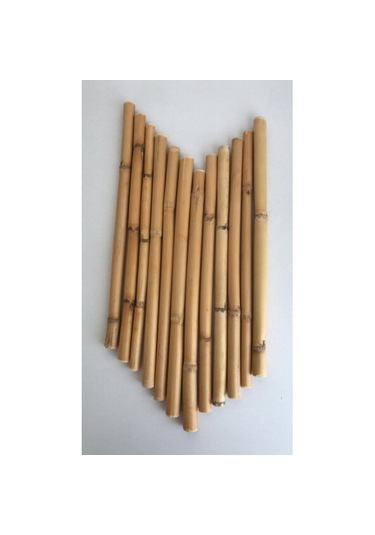 Bambu 15 Cm 12 Li Paket 01
