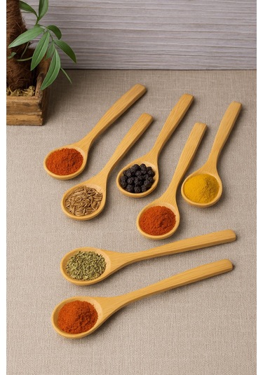 6 Lı Ahşap Küçük Baharat Kaşığı 13 Cm Çok Renkli