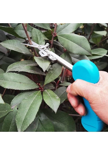 Teltree Mavi Karbon Çelik Bahçe Budama Makası - Taze Meyve, Biber, Gül Dalı Kesim Aracı
