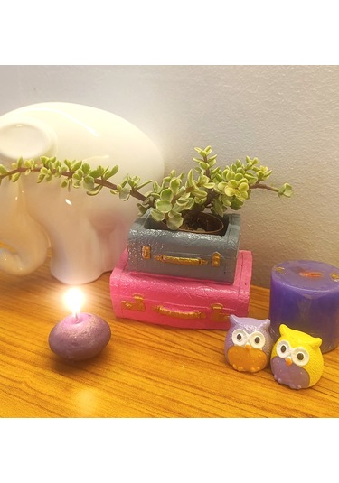 Artepieza Vintage Çift Bavul Saksı- Masaüstü Düzenleyici- Dekoratif Bavul Kalemlik Pembe-gri 12 8 1 Adet