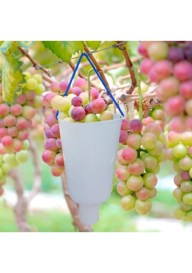 Homyl Üzüm Meyve Islatma Kabı Yetiştirme Bakımı Premium Daldırma