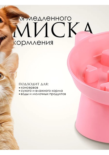 Vektorı Kedi Kabı 391740899