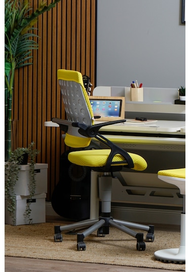 Creo Mobili Yükseklik Ayarlı Vega Plus Çalışma Sandalyesi, Ofis Ve Bilgisayar Koltuğu Sarı/sarı Gri
