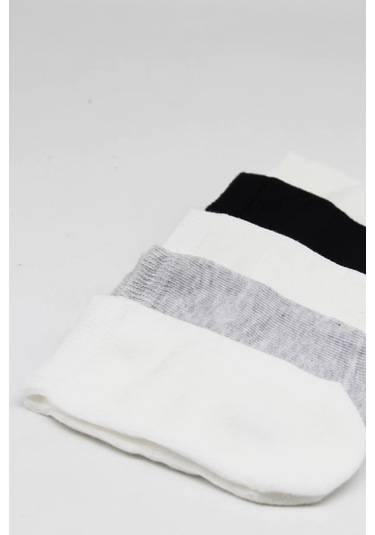 5'li Penye Soket Kutulu Basic Çorap 10131 Gri Çok Renkli