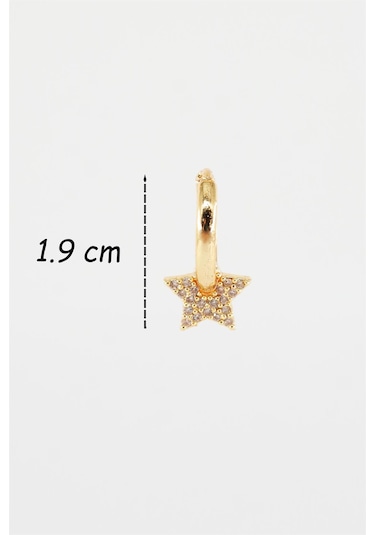 Kadın Kendi Tarzını Oluştur Zirkon Taşlı Yıldız Figürlü Helix Model 1 Adet Küpe Çok Renkli