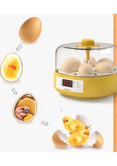 Pazly Yarı Otomatik 4 Yumurta Kuluçka Makinesi - Tavuk Ve Kaz İçin Sm
