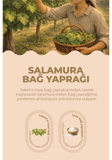 Salamura Bağ Yaprağı - 500 Gr