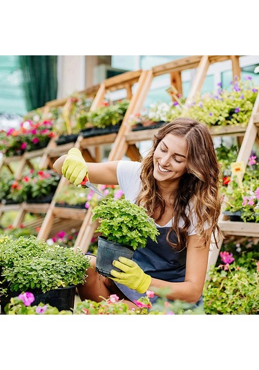 Bahçe El Makası Bahçe Makas Budama Makası Mikro-ucu Budama Snips