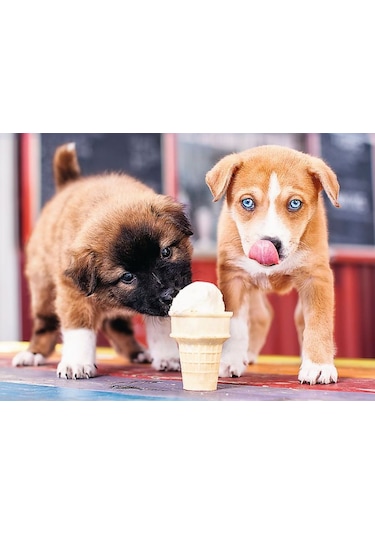 Dondurma Zamanı Puzzle  Trefl 500 Parça