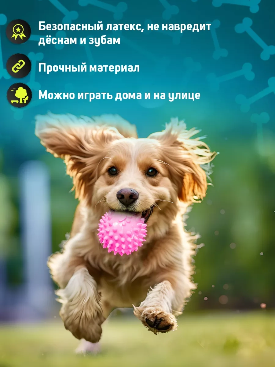 Tooth For Tooth Köpekler İçin Oyuncak Seti 247504217