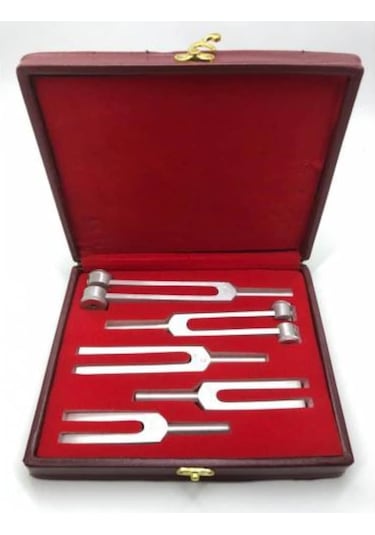 Vzn 5'li Diapozon Set Frekans 128, 256, 512, 1024, 2048 Diyapozon