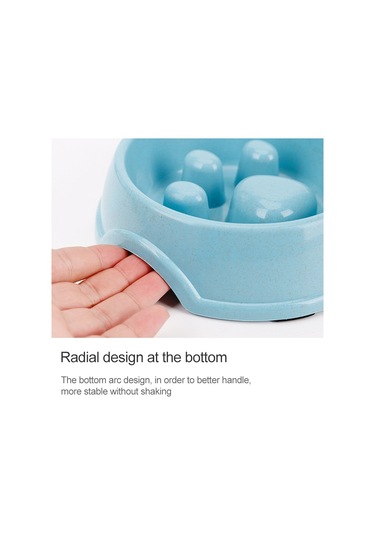 Cbtx Slow Food Şok Önleyici Paslanmaz Çelik Çift Kase Kedi Mama Kasesi