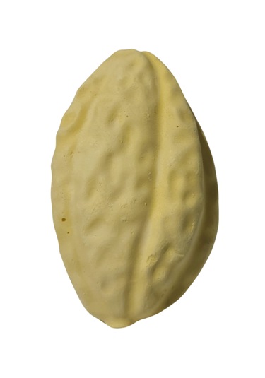 Purecanpati Kemirgen Kalsiyumu Limon